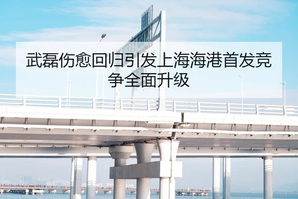 武磊伤愈回归引发上海海港首发竞争全面升级